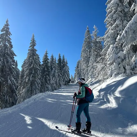 Luxury Pecka In Centre Appartement